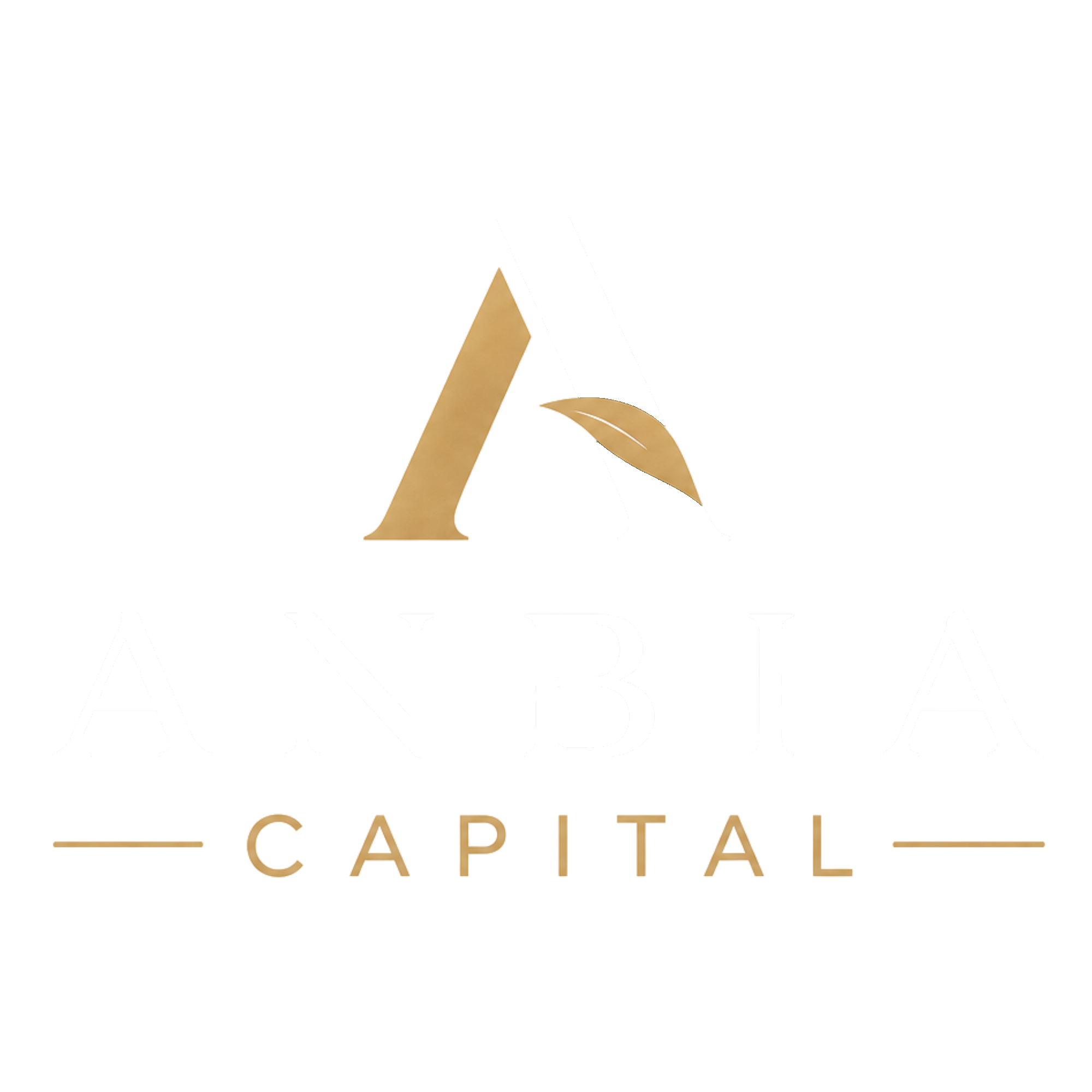 Anbia Capital logo pe fundal transparent